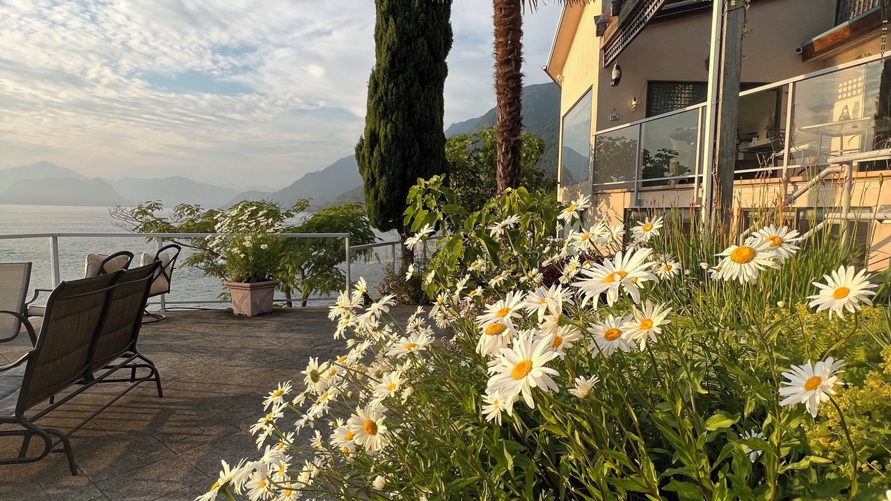 Photo of Patio Balcony in Vancouver