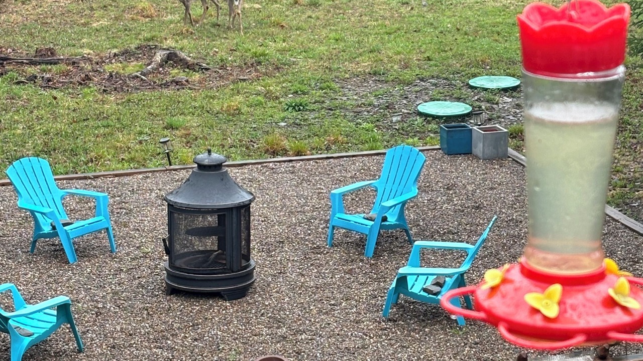 Photo of Outdoor in Halifax County