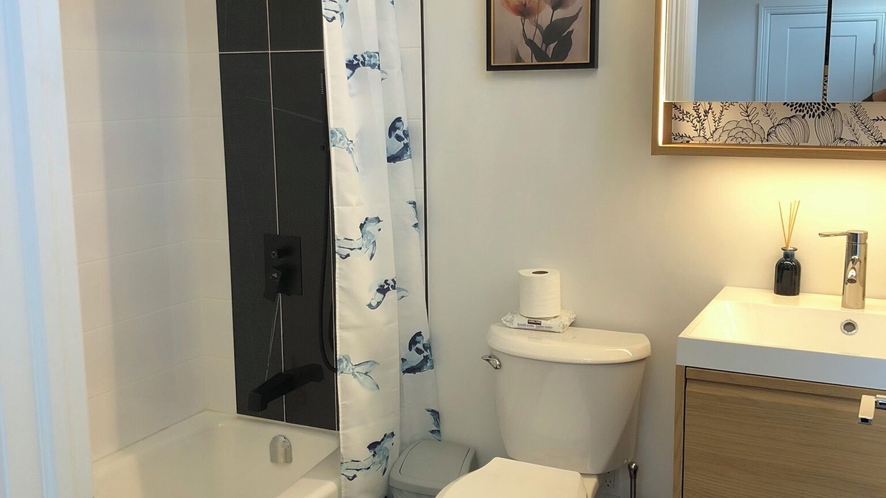 Photo of Bathroom in Halifax County