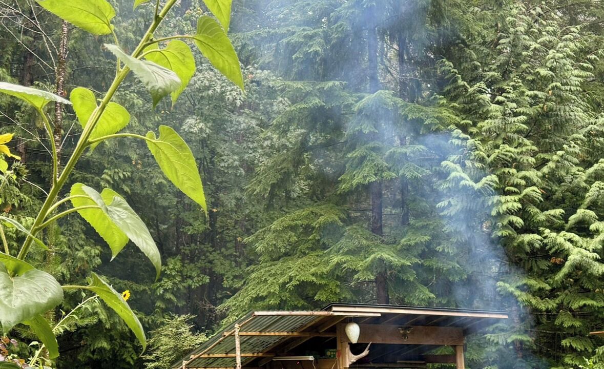 Photo of Outdoor in Sunshine Coast