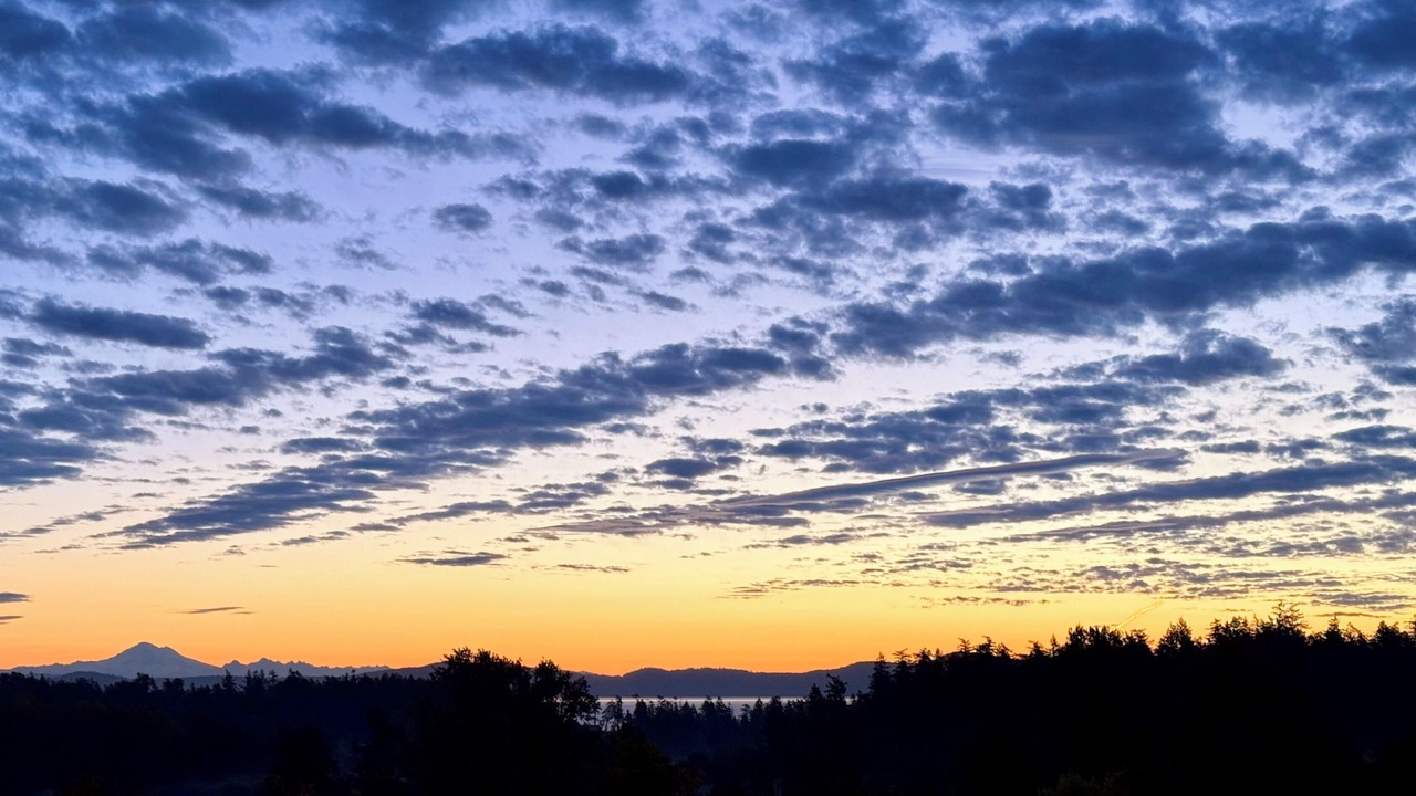 Photo of Others in Saanich