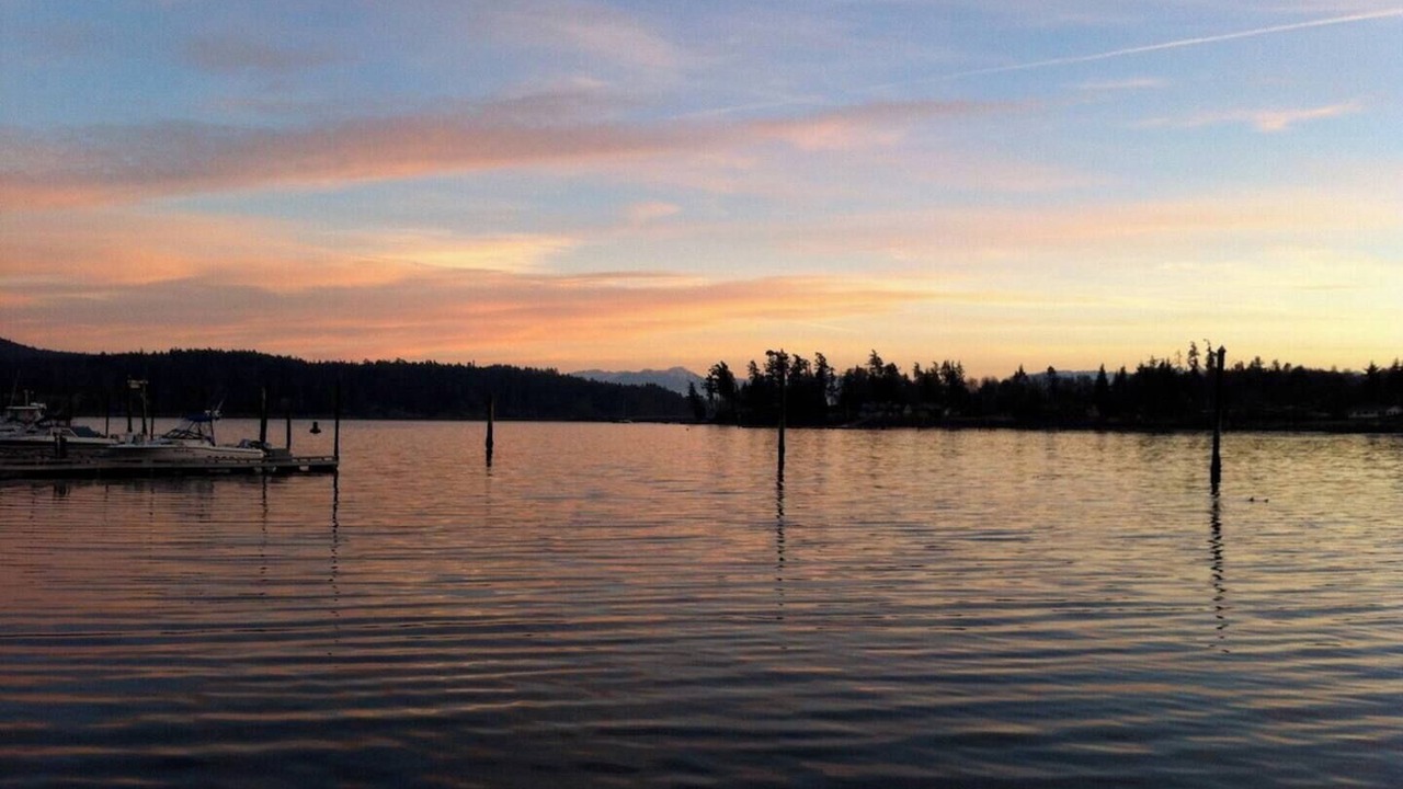 Photo of Others in Sooke