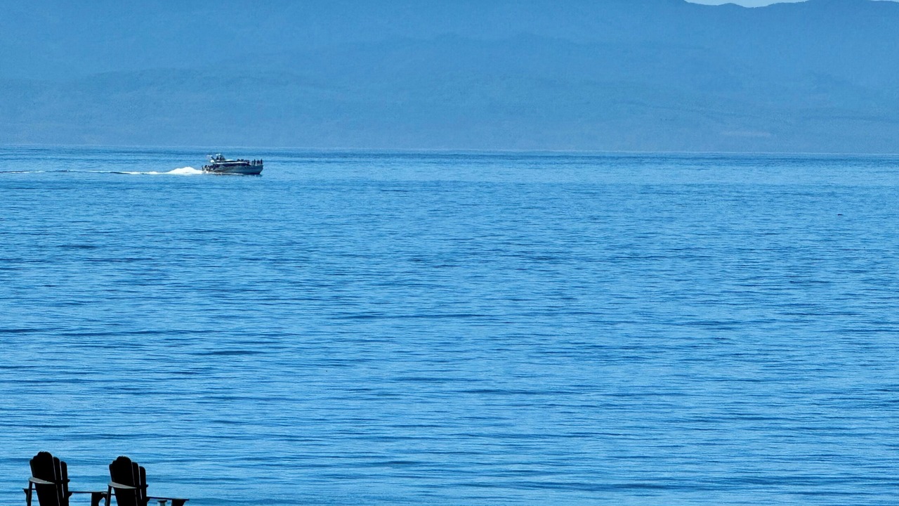 Photo of Others in Otter Point