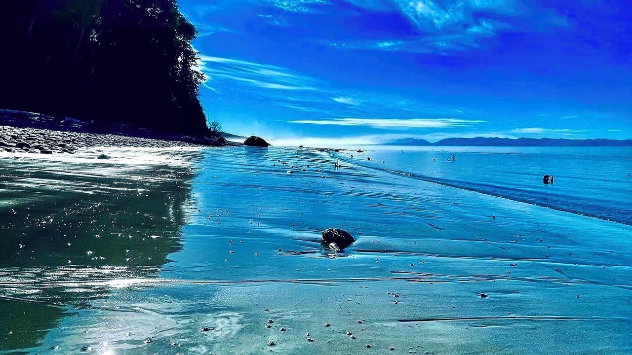 Photo of Others in Otter Point