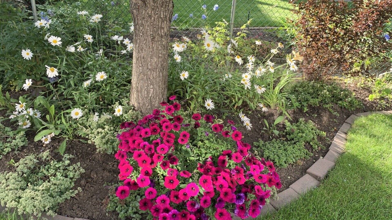 Photo of Outdoor in Arbour Lake