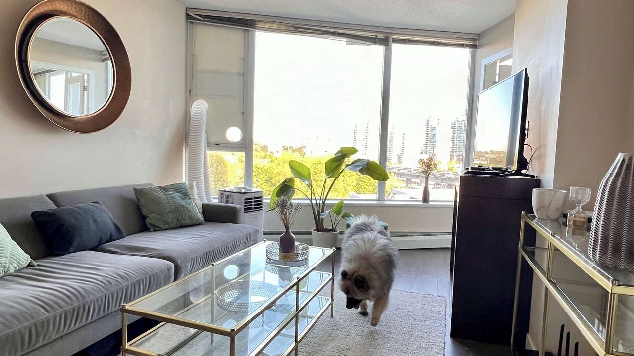 Photo of Livingroom in Crosstown