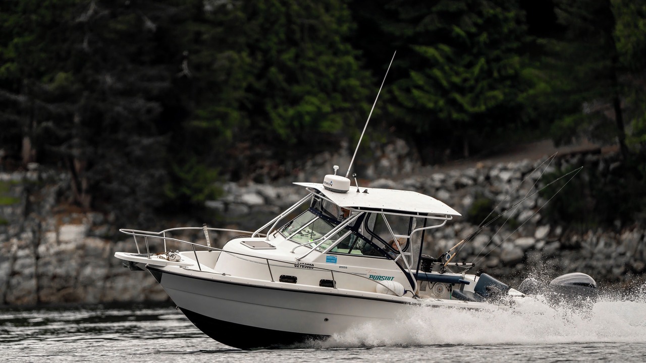 Photo of Others in Squirrel Cove
