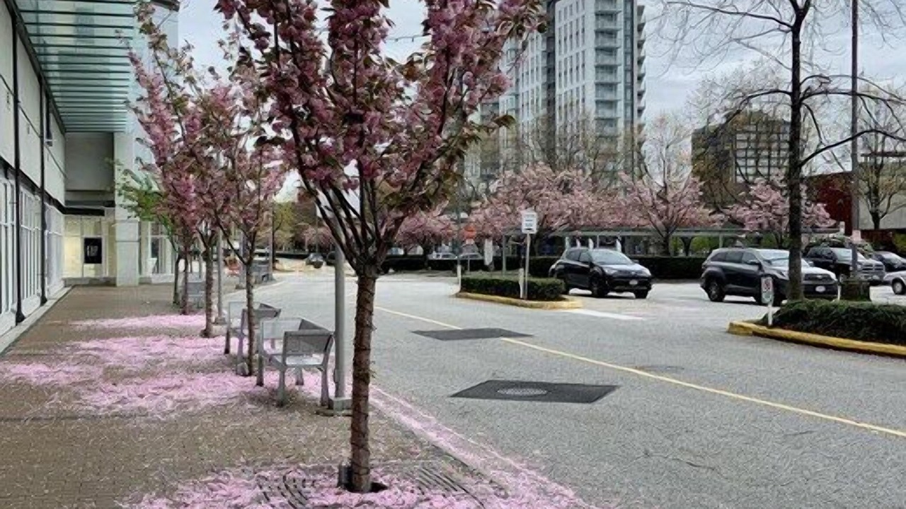 Photo of Others in West Vancouver