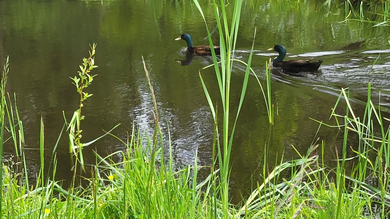 Photo of Outdoor in Lindell Beach