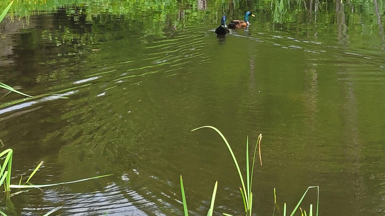 Photo of Outdoor in Lindell Beach