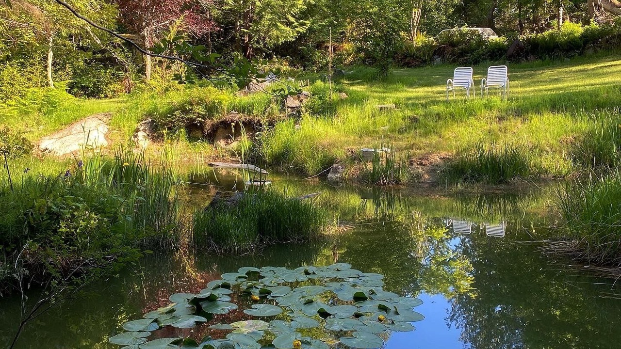 Photo of Outdoor in Sunshine Coast