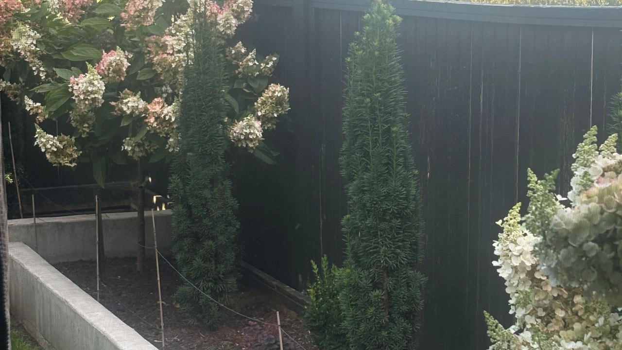 Photo of Outdoor in Chilliwack