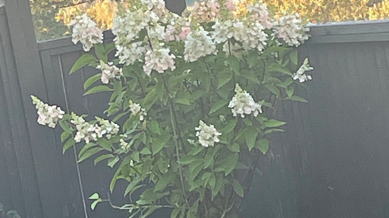 Photo of Outdoor in Chilliwack