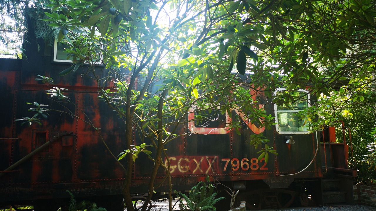 Photo of Outdoor in Agassiz