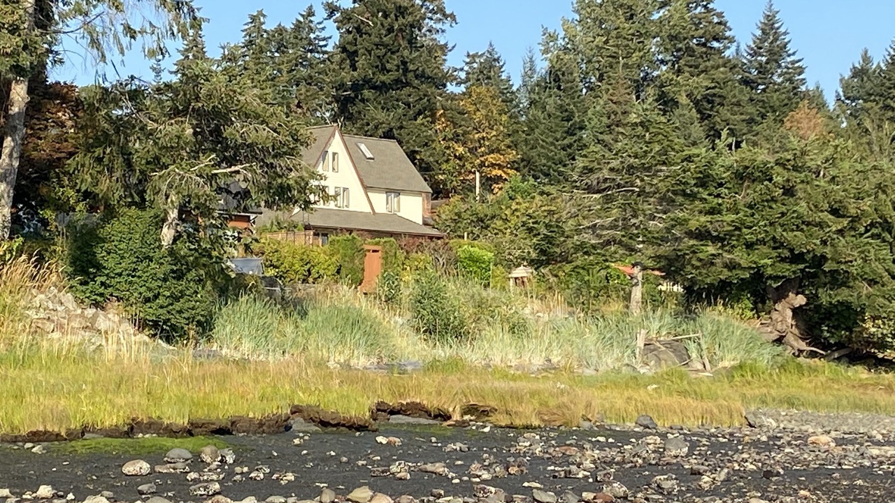 Photo of Outdoor in Courtenay