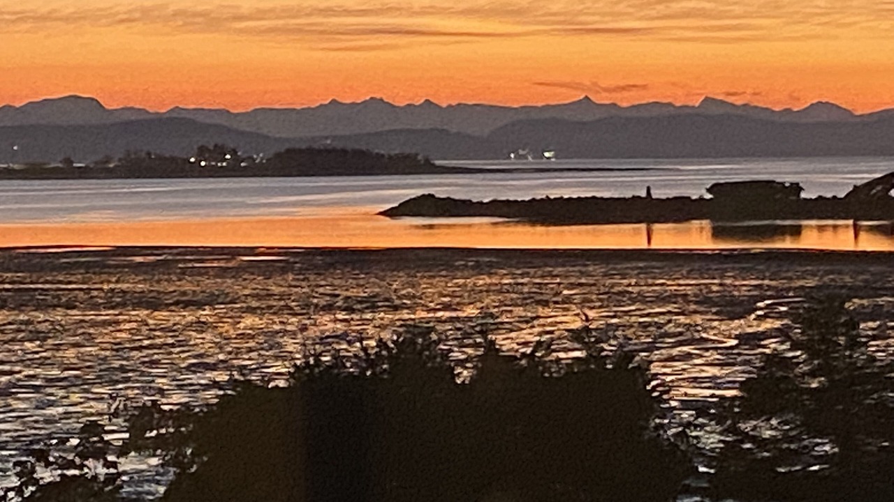 Photo of Others in Courtenay