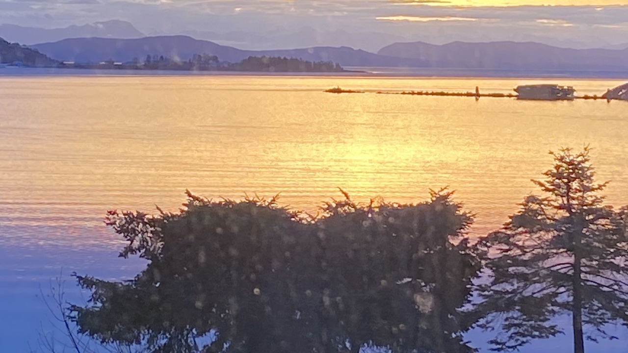 Photo of Others in Courtenay