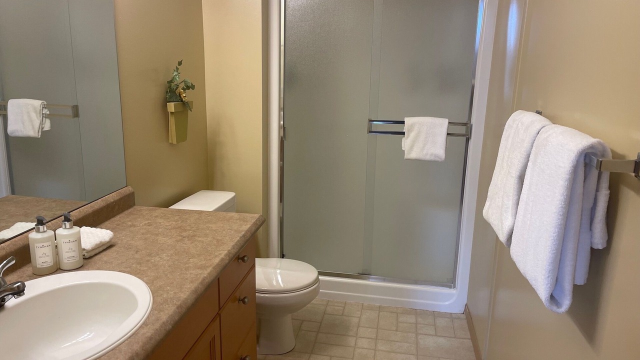 Photo of Bathroom in Silver Star Mountain