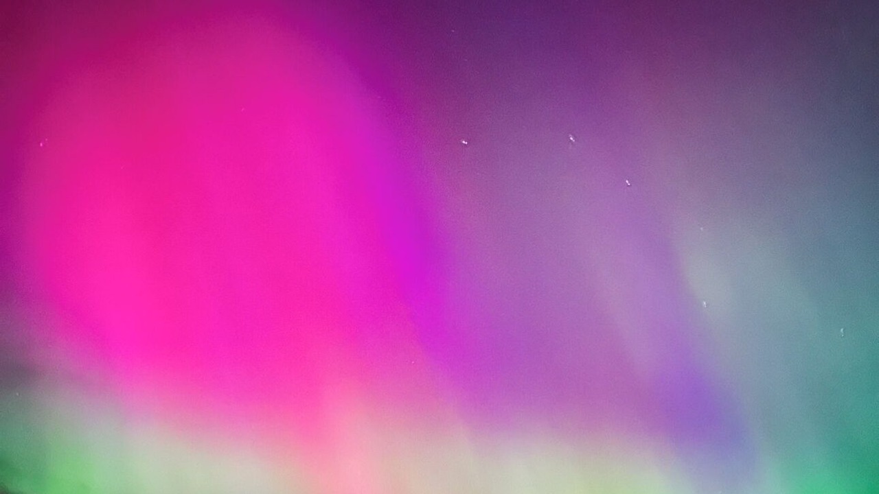 Photo of Outdoor in Gold River