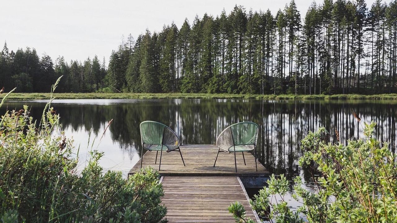 Photo of Outdoor in Black Creek
