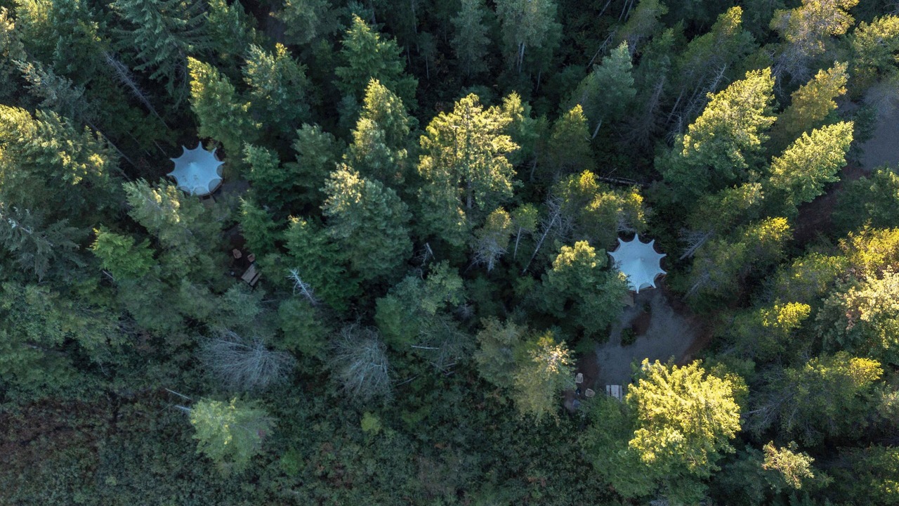 Photo of Outdoor in Black Creek