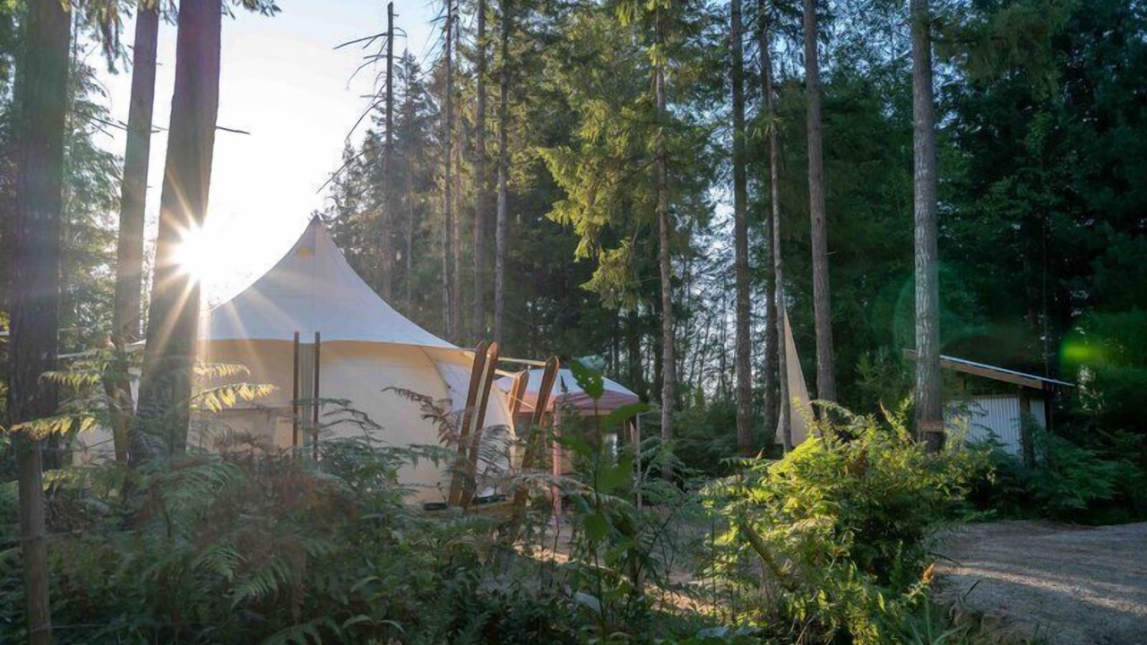 Photo of Outdoor in Black Creek