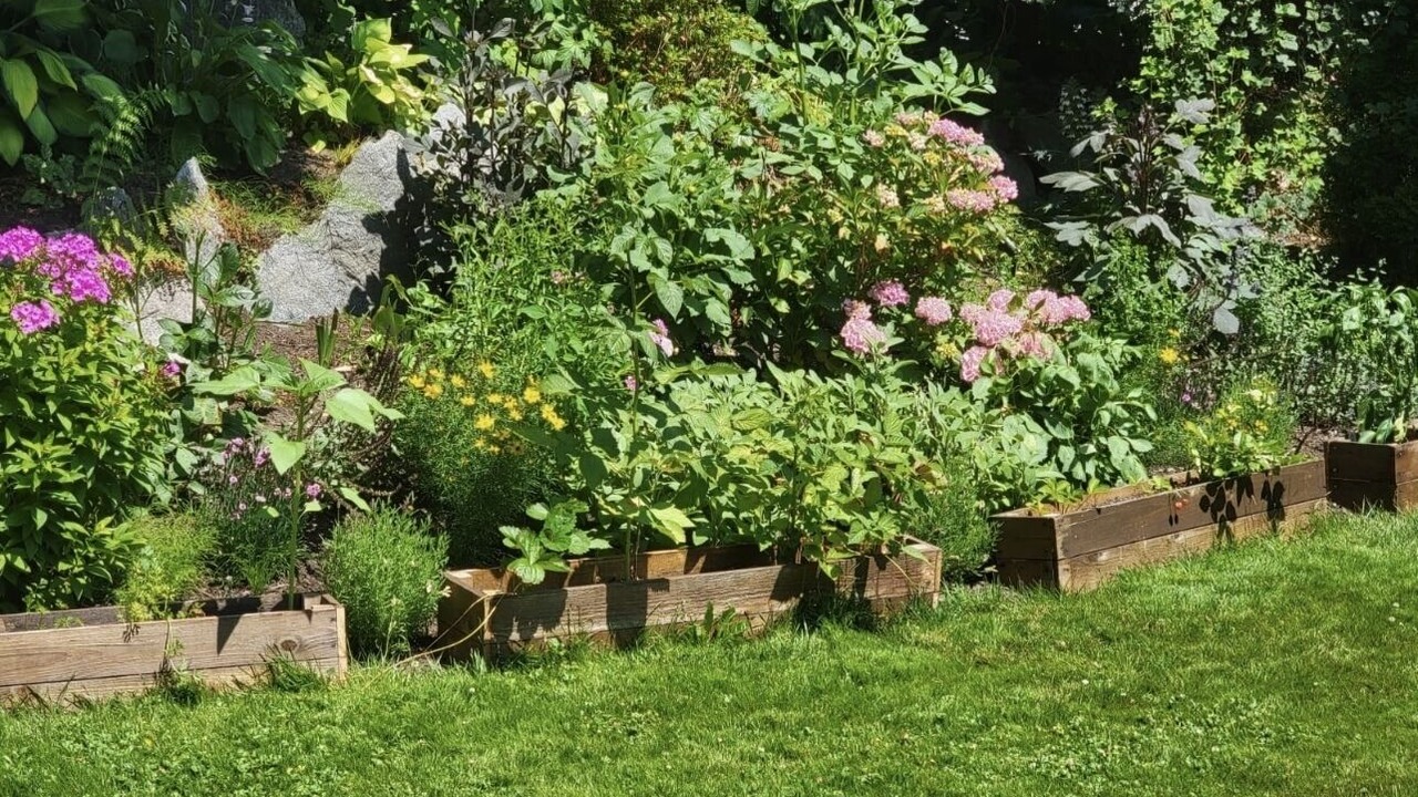 Photo of Outdoor in District of North Vancouver