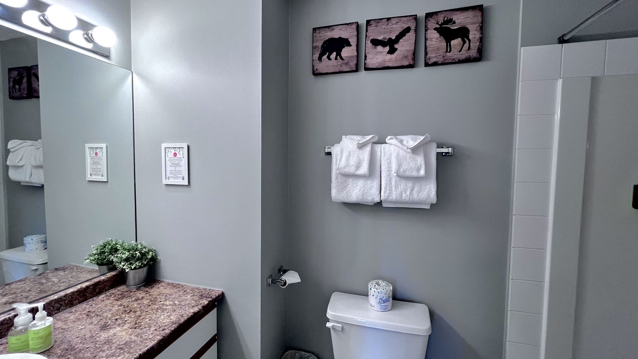Photo of Bathroom in Canmore