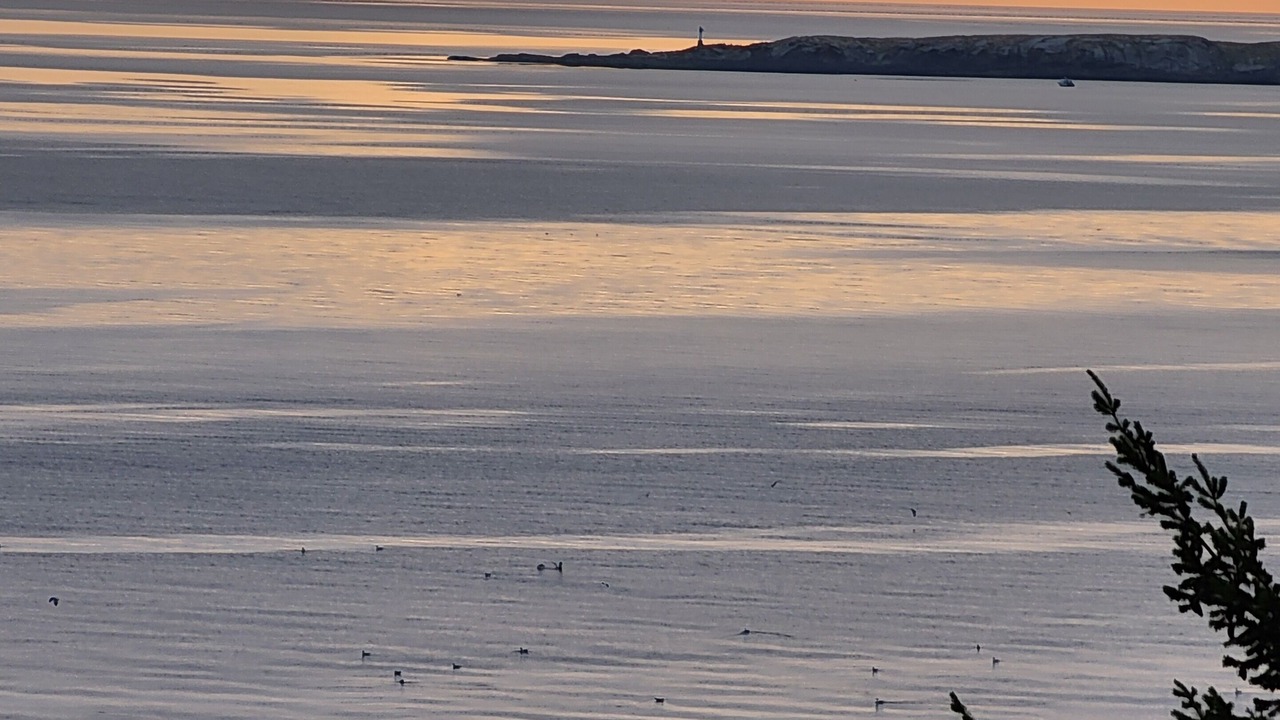 Photo of Others in Stephenson Point
