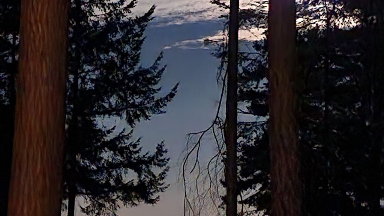 Photo of Others in Stephenson Point