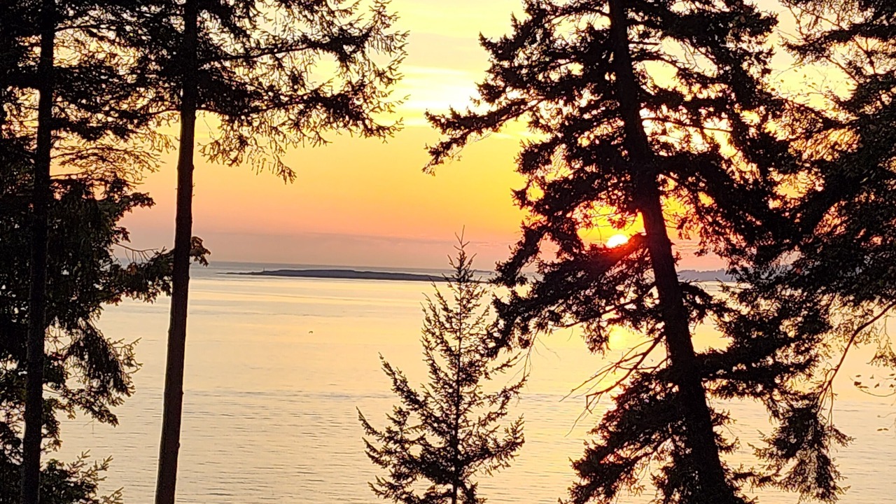 Photo of Others in Stephenson Point