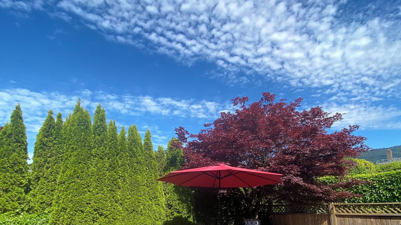 Photo of Others in West Vancouver