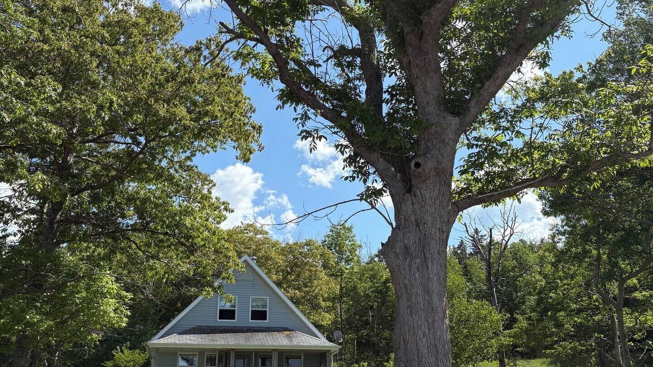 Photo of Outdoor in East Lake Ainslie