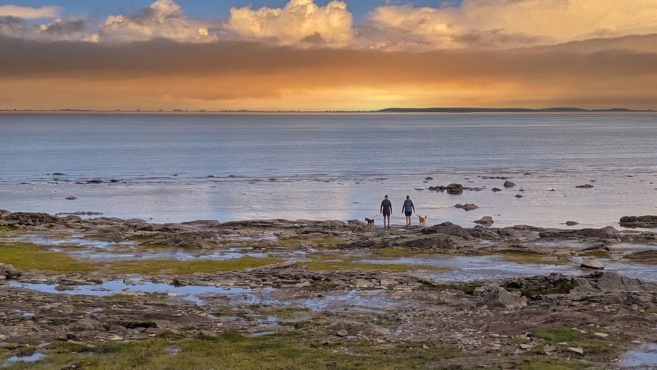 Photo of Others in Cap-Saint-Ignace