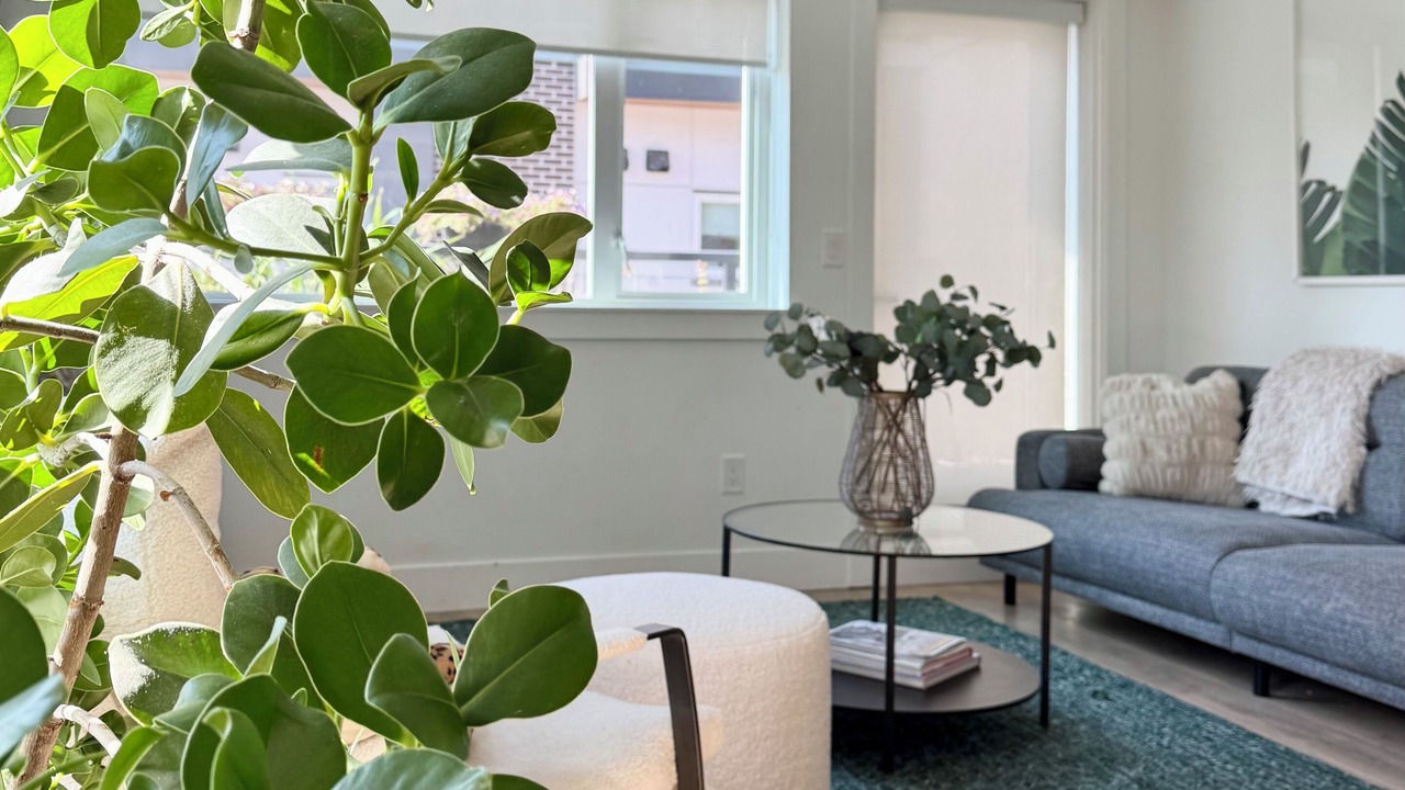 Photo of Livingroom in North Vancouver