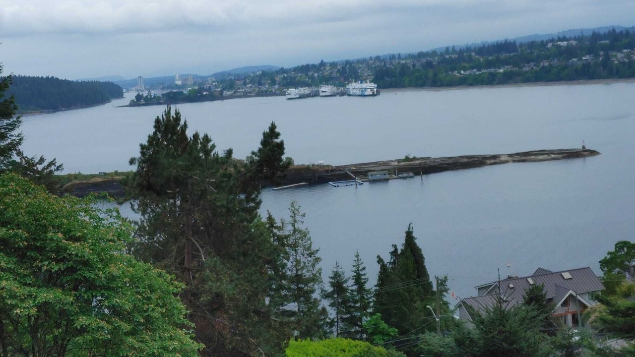 Photo of Others in Departure Bay