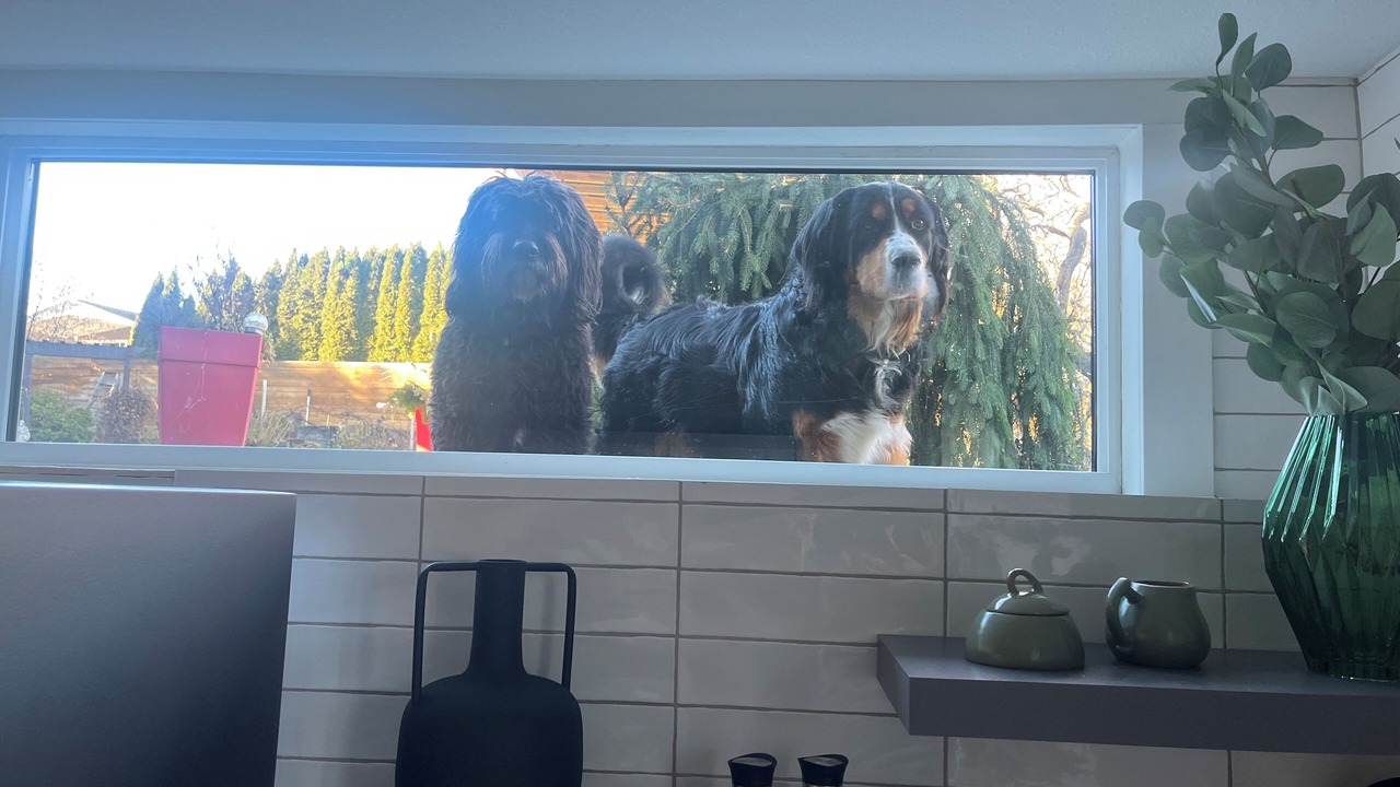 Photo of Others in Central Okanagan