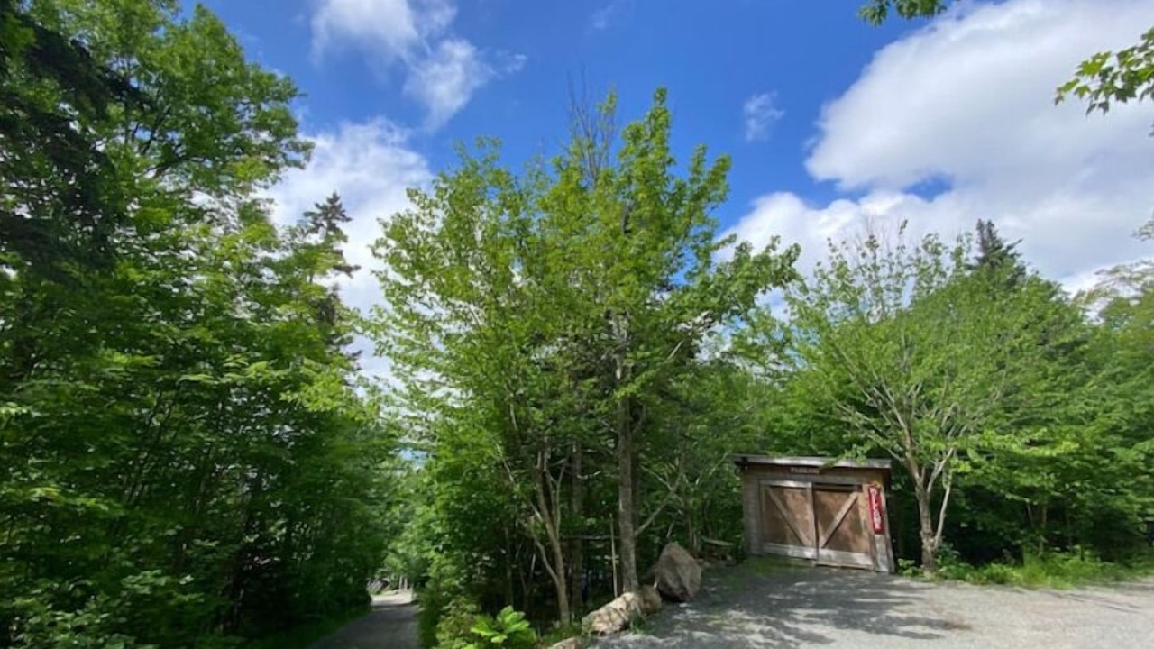 Photo of Outdoor in Englishtown