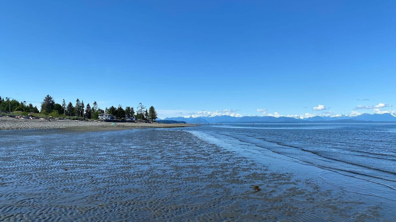 Photo of Others in Campbell River