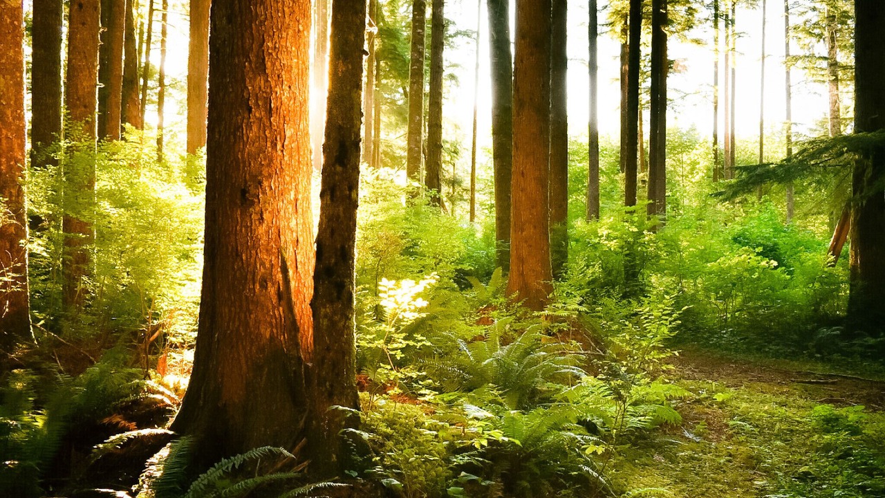 Photo of Others in Strathcona