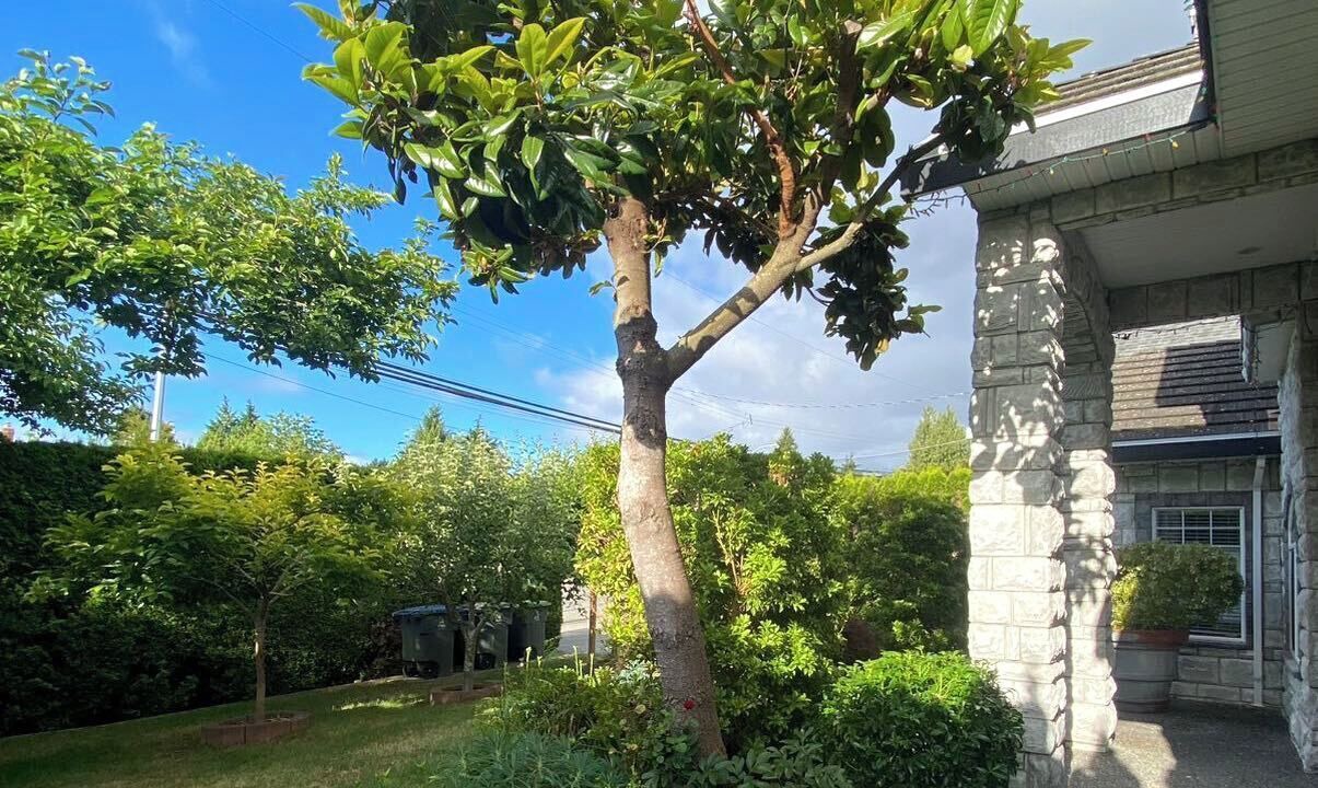 Photo of Outdoor in Surrey