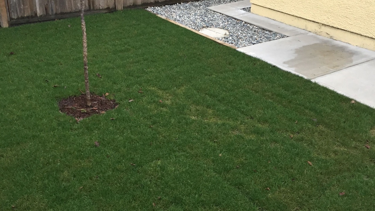 Photo of Outdoor in Arbutus Ridge