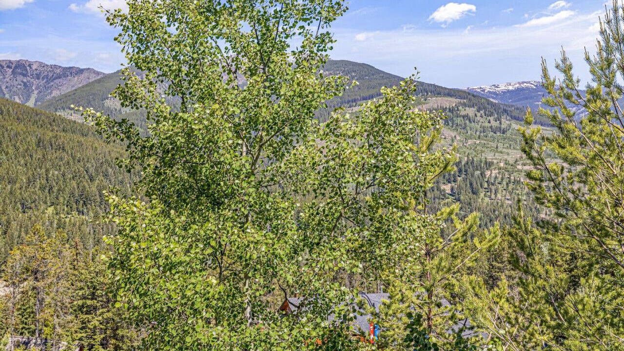 Photo of Others in East Kootenay