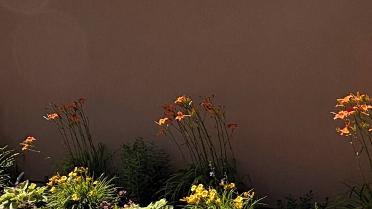 Photo of Outdoor in Mara
