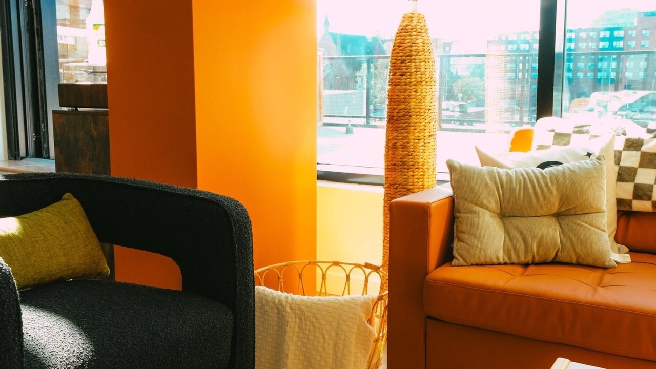 Photo of Livingroom in Downtown Halifax