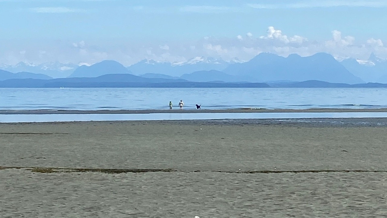 Photo of Others in Campbell River