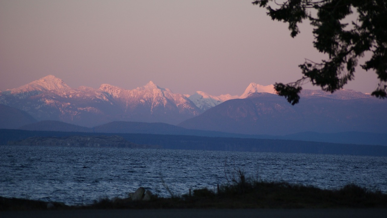 Photo of Others in Campbell River