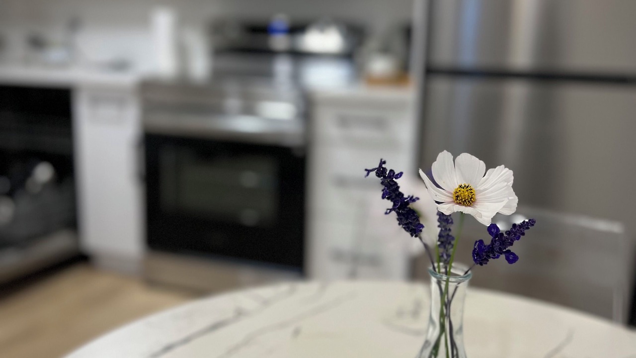 Photo of Kitchen in Yorkson