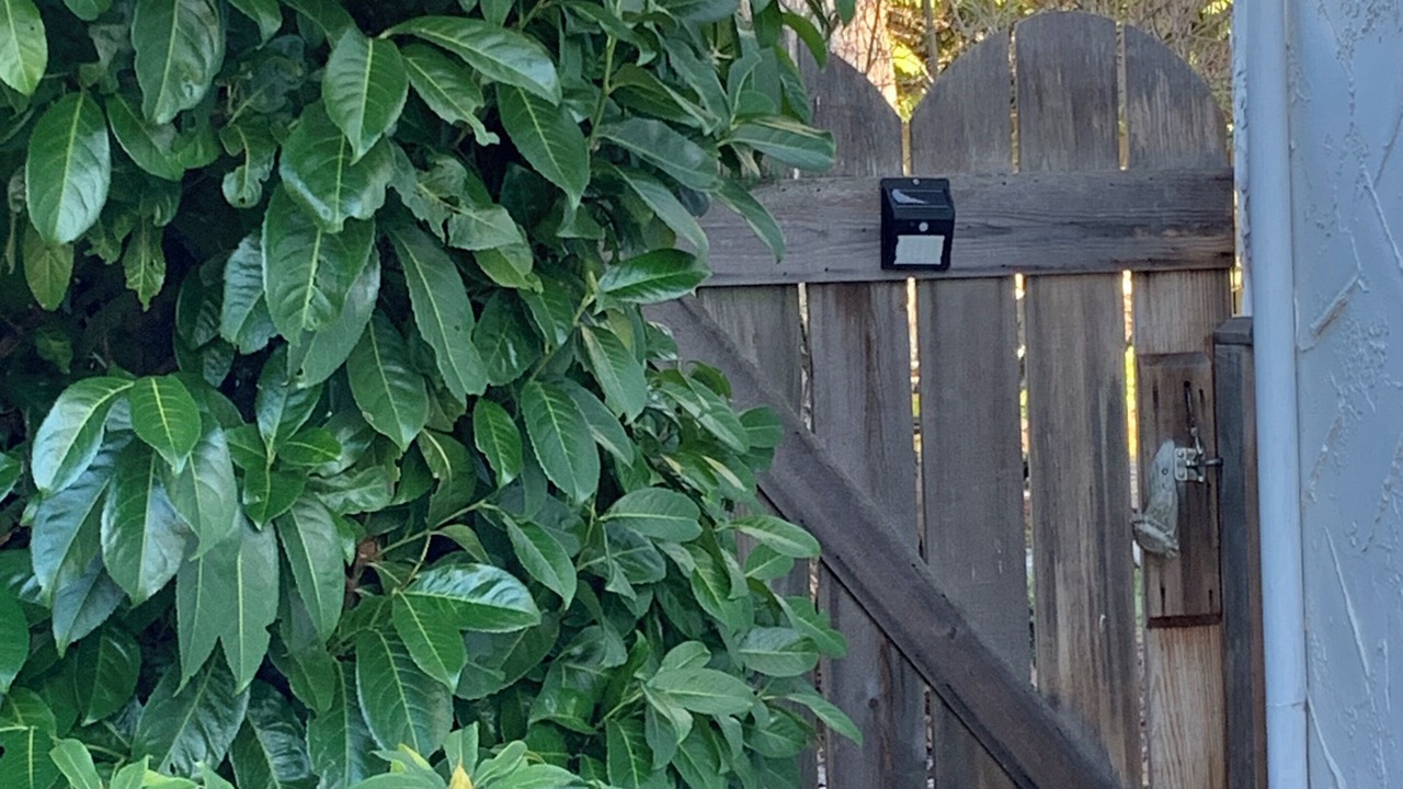 Photo of Outdoor in Comox