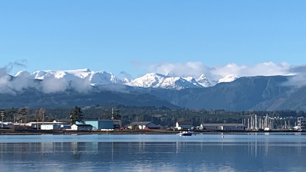 Photo of Others in Comox